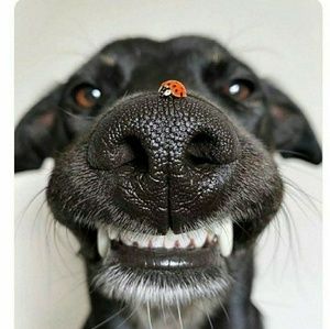 Meet your Posher, Gavin